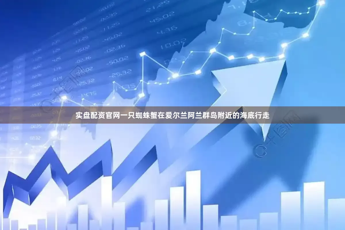 实盘配资官网一只蜘蛛蟹在爱尔兰阿兰群岛附近的海底行走